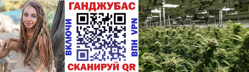 Каннабис планчик  Янаул 